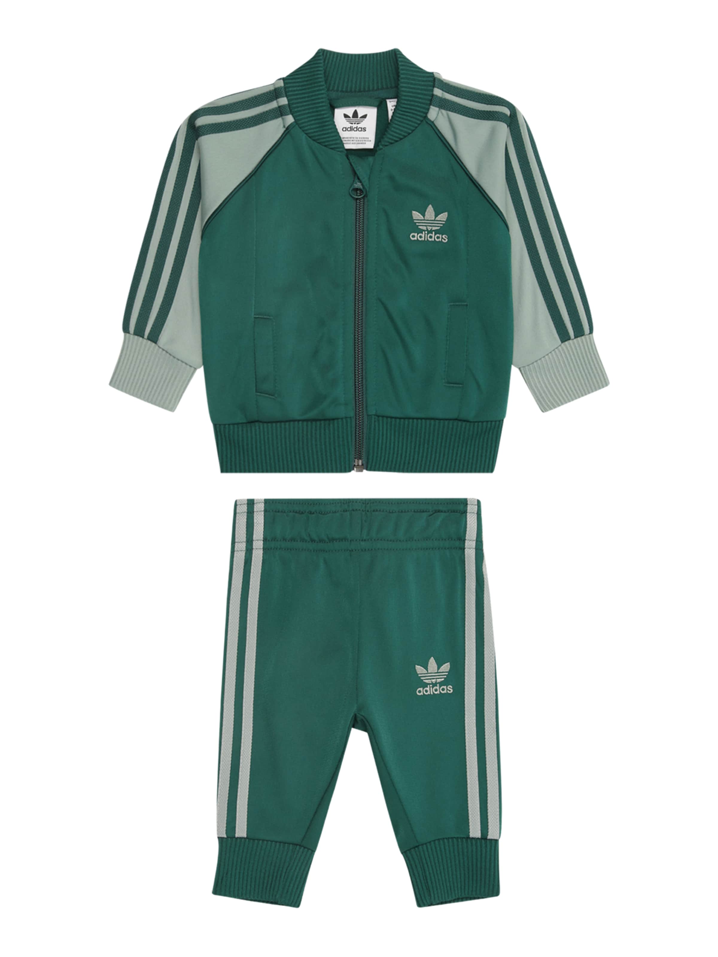 ADIDAS ORIGINALS Jogginganzug 'Adicolor SST' in Grün: Vorderseite