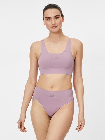 ADIDAS ORIGINALS Tanga – fialová