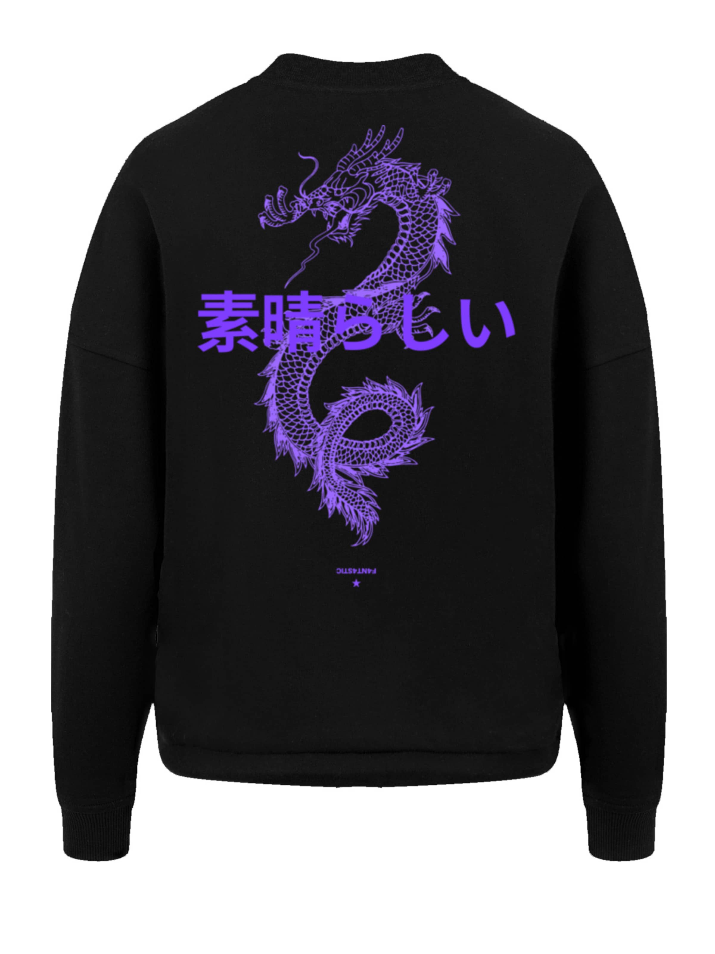 Sweat-shirt 'Dragon' F4NT4STIC en noir