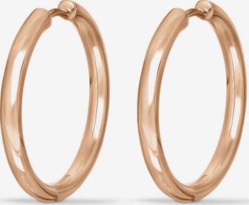 ESPRIT Earrings in Gold: front