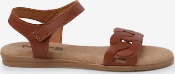 Sandalo di Pisamonas in marrone: frontale