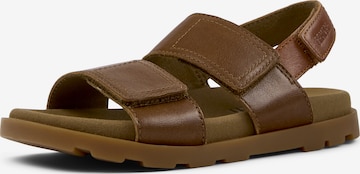 Sandales ' Brutus ' CAMPER en marron : devant