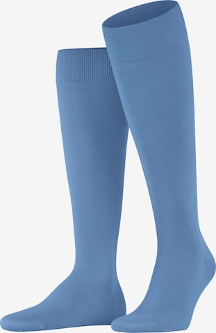 FALKE Knee High Socks 'ClimaWool' in Blue: front