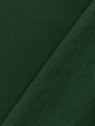 ENRAGE Sweatshirt 'THE BLANC' in Green