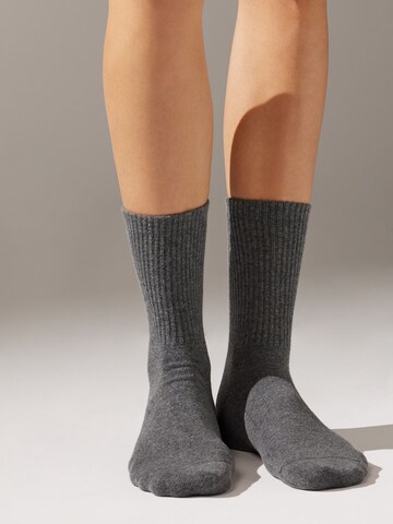 CALZEDONIA Socks in Grey: front