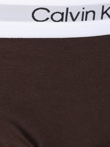 Calvin Klein Underwear Plus Slip in Braun