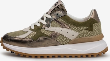 Sneaker bassa 'Noppi 46' di Floris van Bommel in verde: frontale