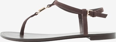 Šlepetės per pirštą 'SANDSTONE' iš ALDO, spalva – tamsiai ruda, Prekių apžvalga