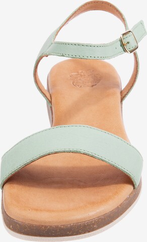 Apple of Eden Sandalen met riem 'Isa ' in Groen