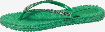 ILSE JACOBSEN T-Bar Sandals 'CHEER' in Green: front