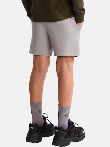 Regular Pantalon 'THE NORTH FACE kids TEEN SIMPLE DOME LT SHT PANTALOCINO' THE NORTH FACE en gris