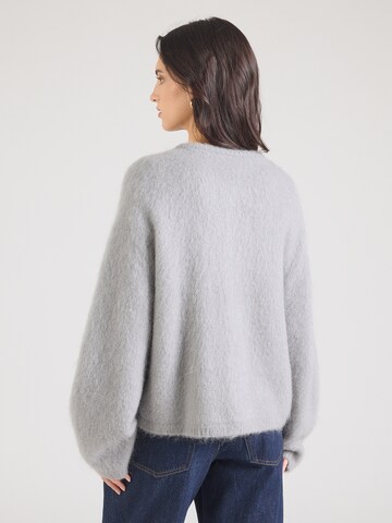 Cardigan & Other Stories en gris