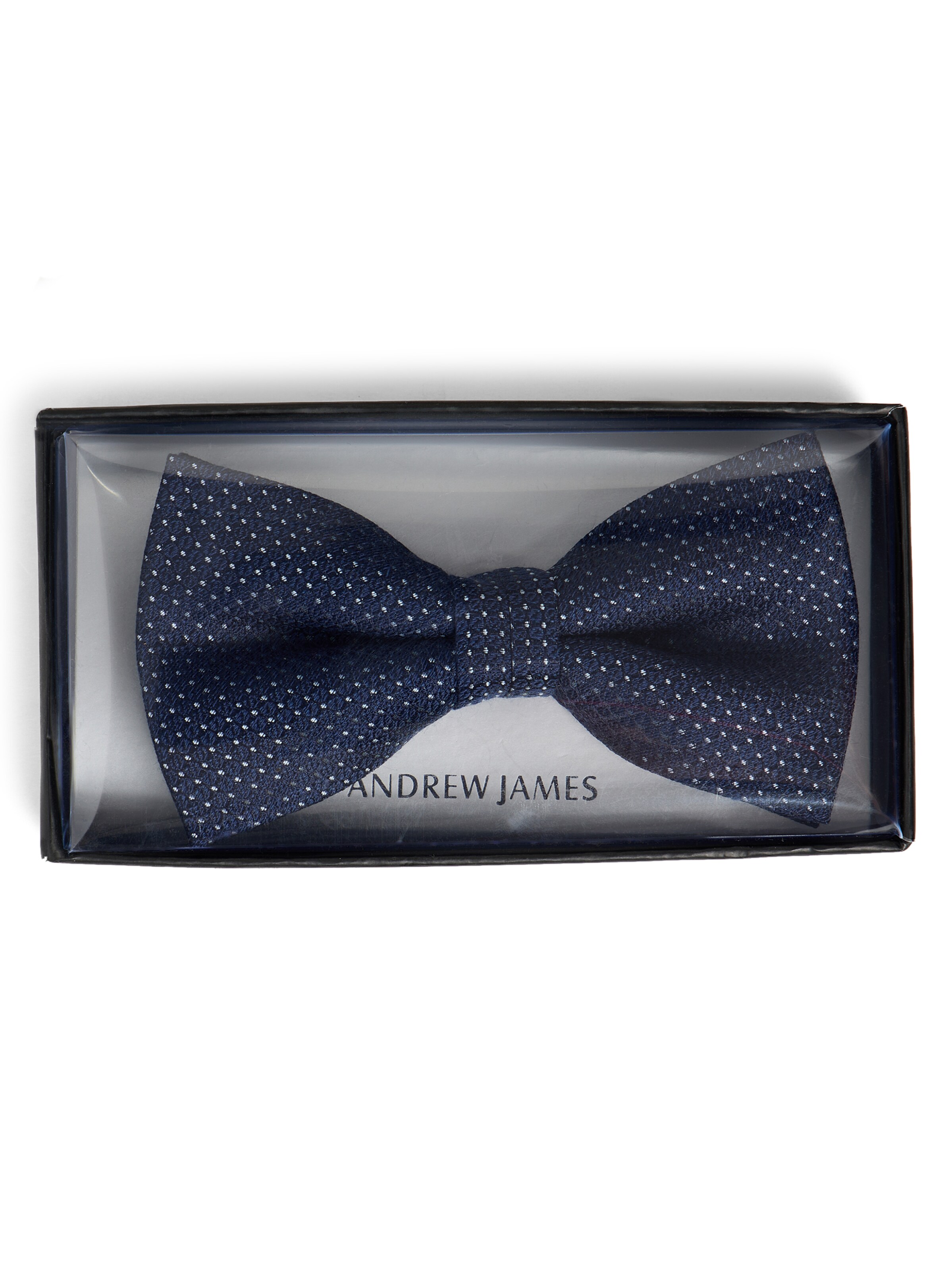 Andrew James Bow Tie in Blue