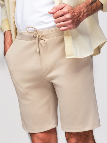 Ombre Slimfit Sporthose‌‌‌‌‌‌‌ in Beige