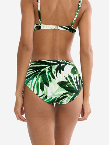 TRIUMPH Bikini bottom ' Red Label Summer Palm ' in Green
