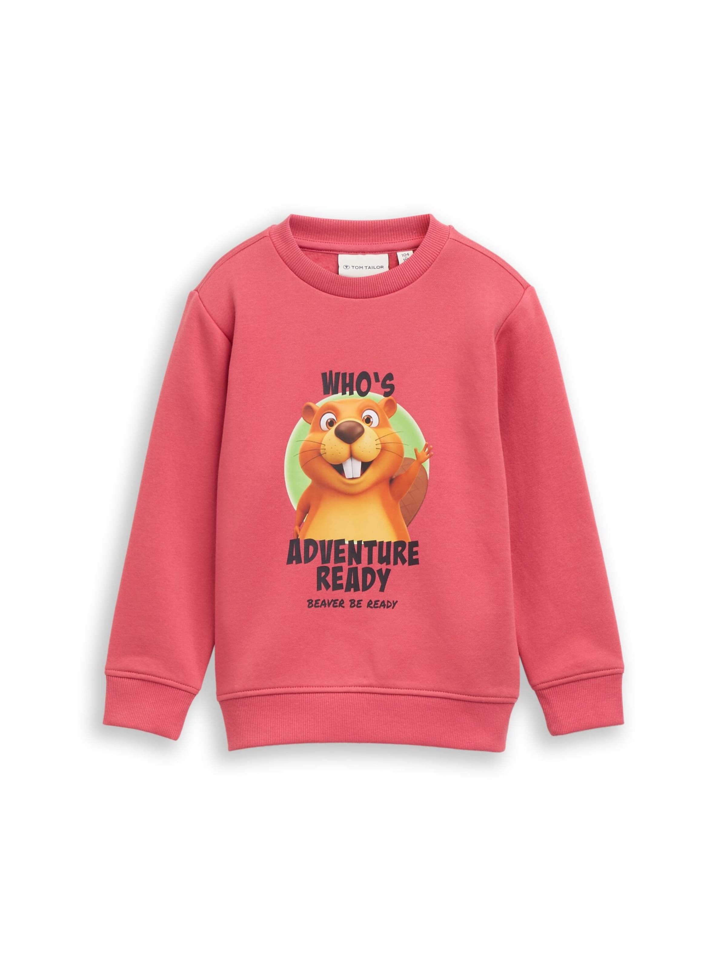 TOM TAILOR Sweatshirt in Rot: Vorderseite