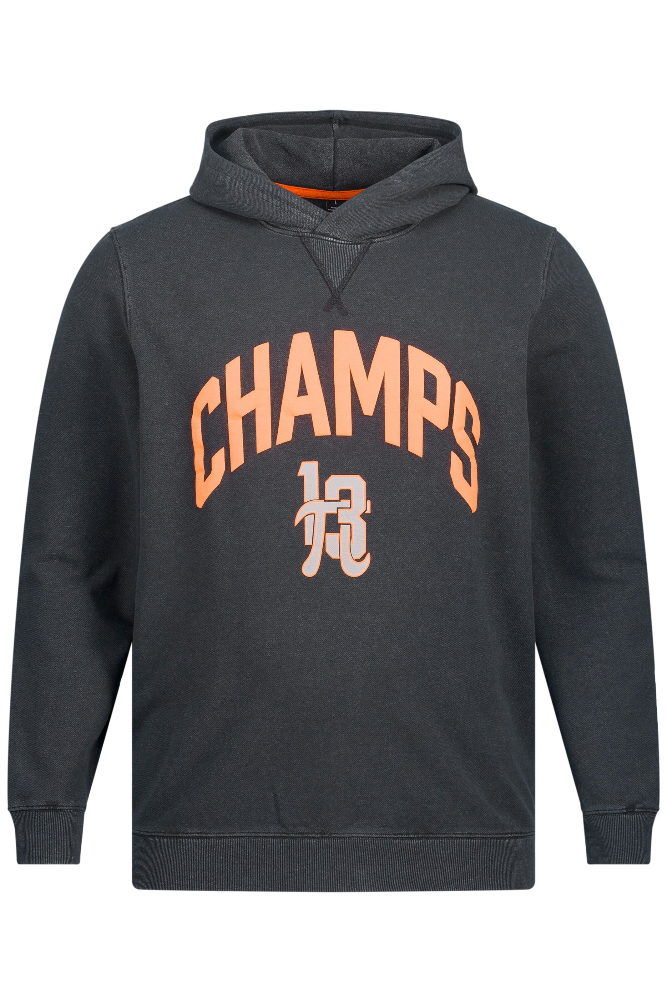 JAY-PI Sweatshirt in Grau: Vorderseite