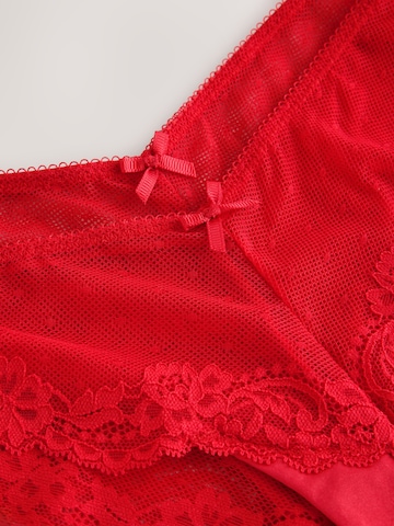 Next Slip in Rood