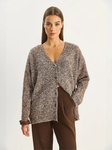 Bianco Lucci Gebreid vest in Bruin