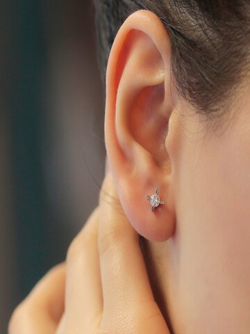 EinStein Diamant Earrings in Silver