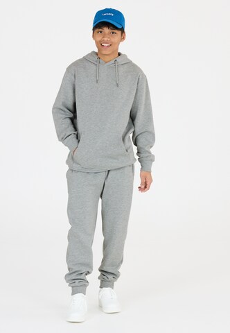 Les'Arcs Sports sweatshirt 'Derbe' in Grey
