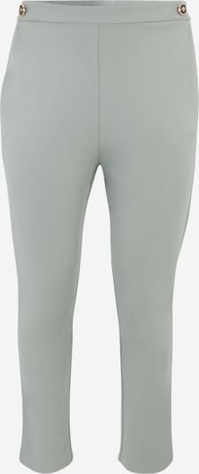 Pantaloni 'Caya' Guido Maria Kretschmer Curvy di colore menta, Visualizzazione prodotti