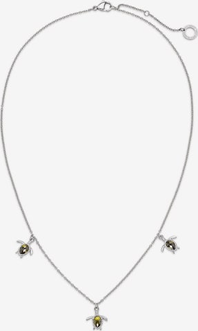 Paul Hewitt Necklace in Silver: front