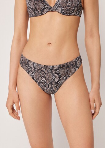 CALZEDONIA Bikini Bottoms 'Classic Snake' in Black: front