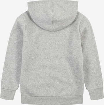 Champion Authentic Athletic Apparel Sweatshirt in Grey