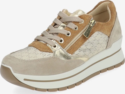 Sneaker bassa IGI&CO di colore beige / marrone / oro, Visualizzazione prodotti