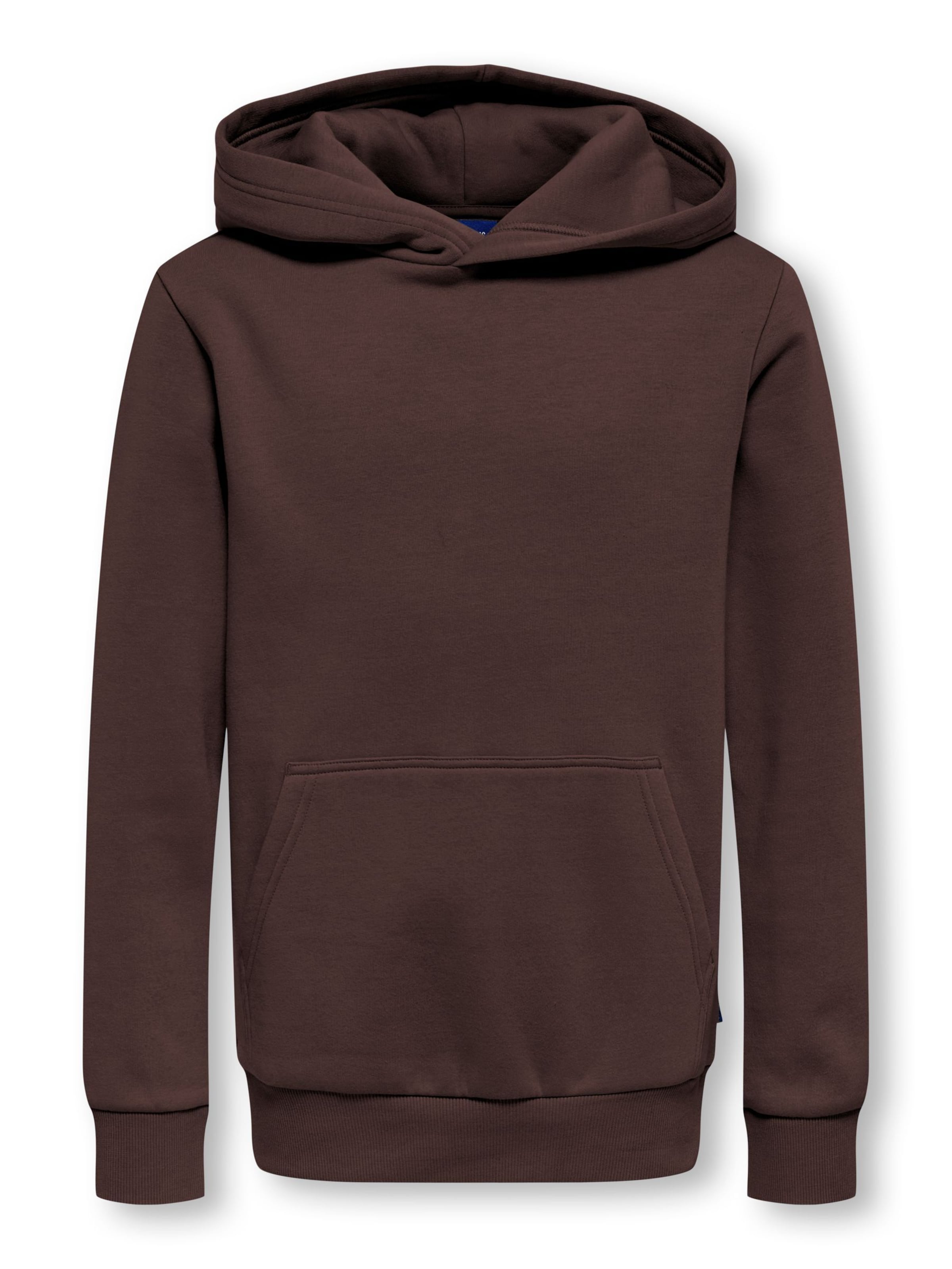 Only & Sons Junior Sweatshirt 'OSJCeres' in Brown: front