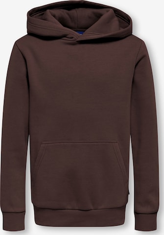 Only & Sons Junior Sweatshirt 'OSJCeres' in Brown: front
