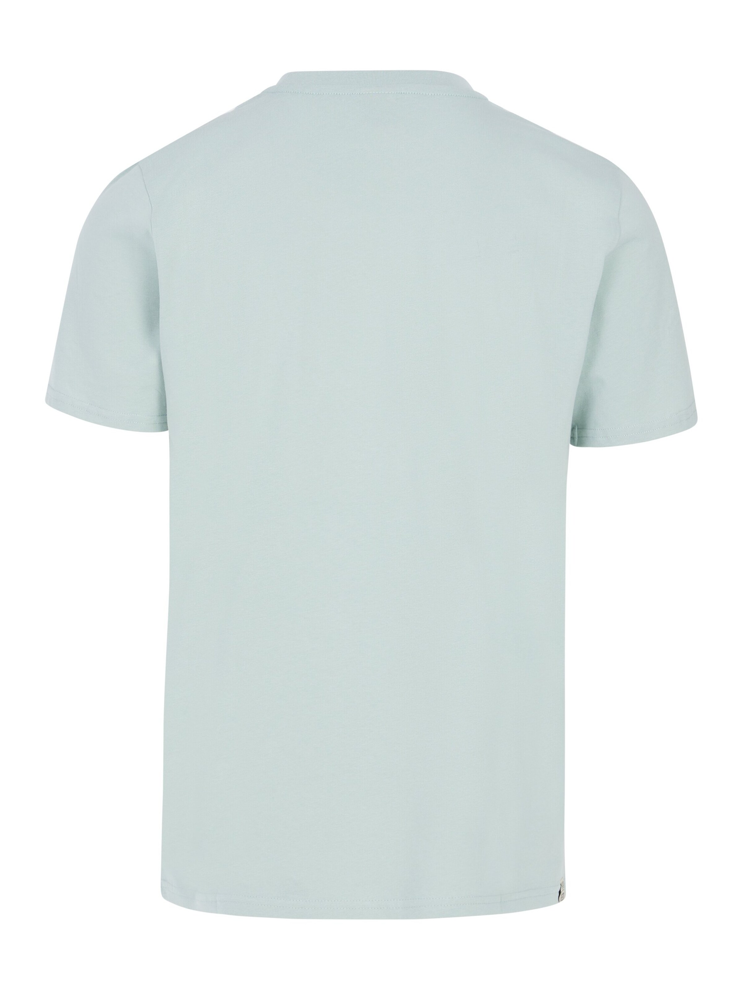 PROTEST Shirt 'PRTBarn' in Green