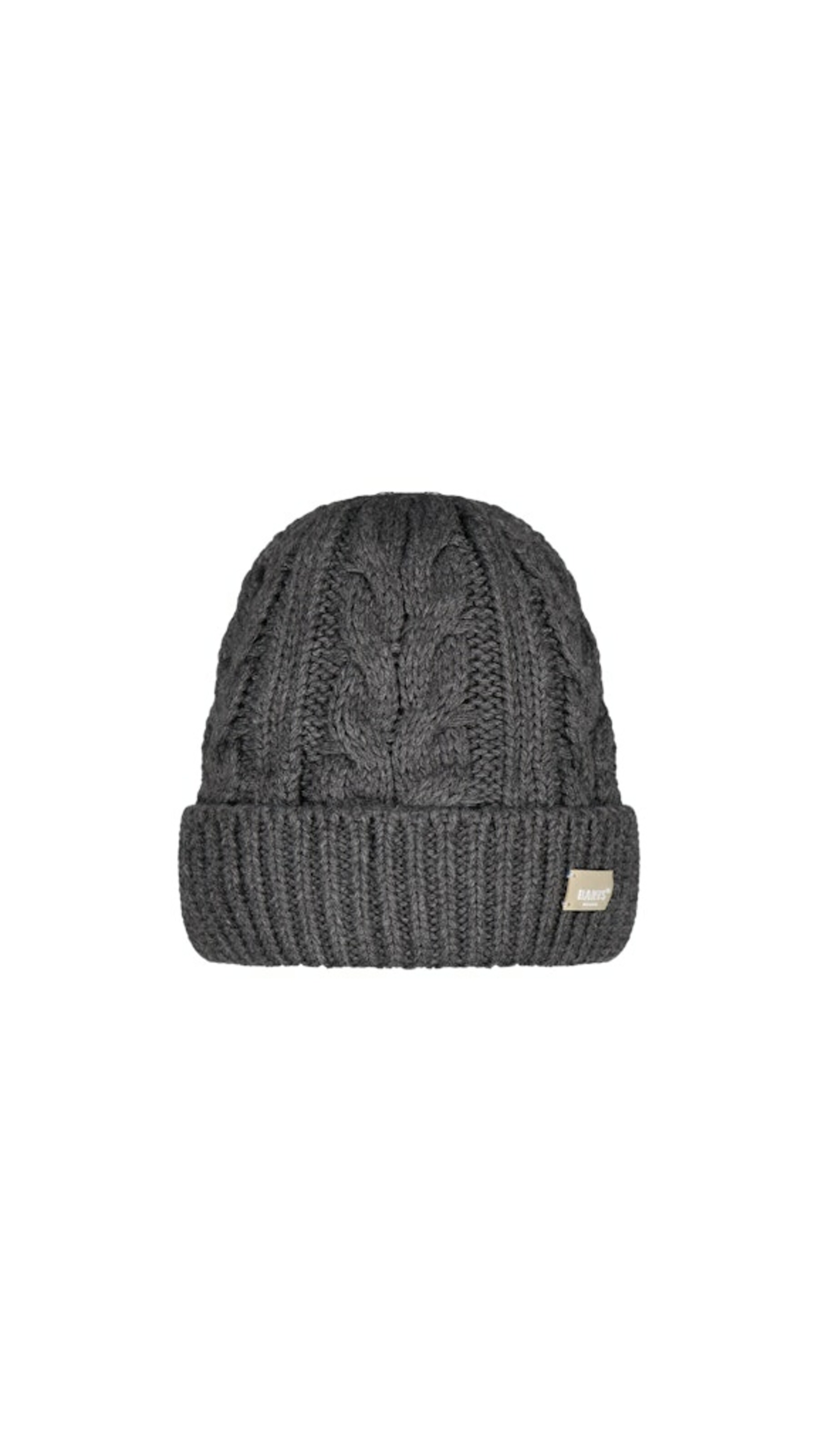 Barts Beanie in Grey: front