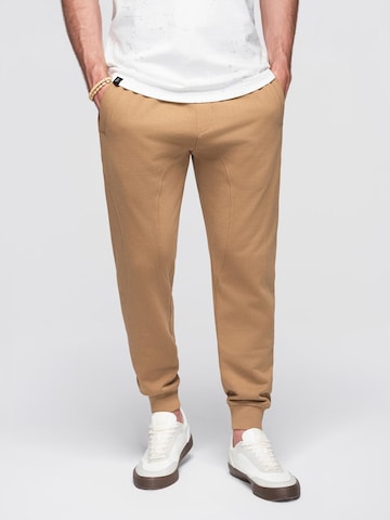 Ombre Tapered Broek in Bruin: voorkant