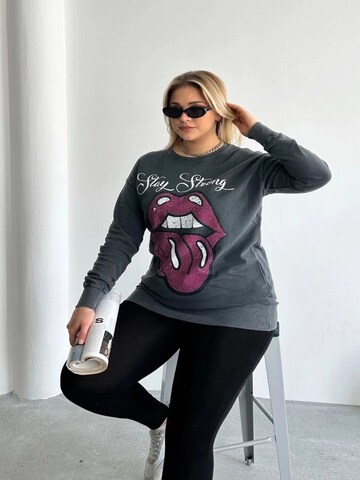 Stil Diva Trui in Grijs