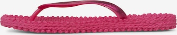 Tongs 'Cheerful' ILSE JACOBSEN en rose : devant