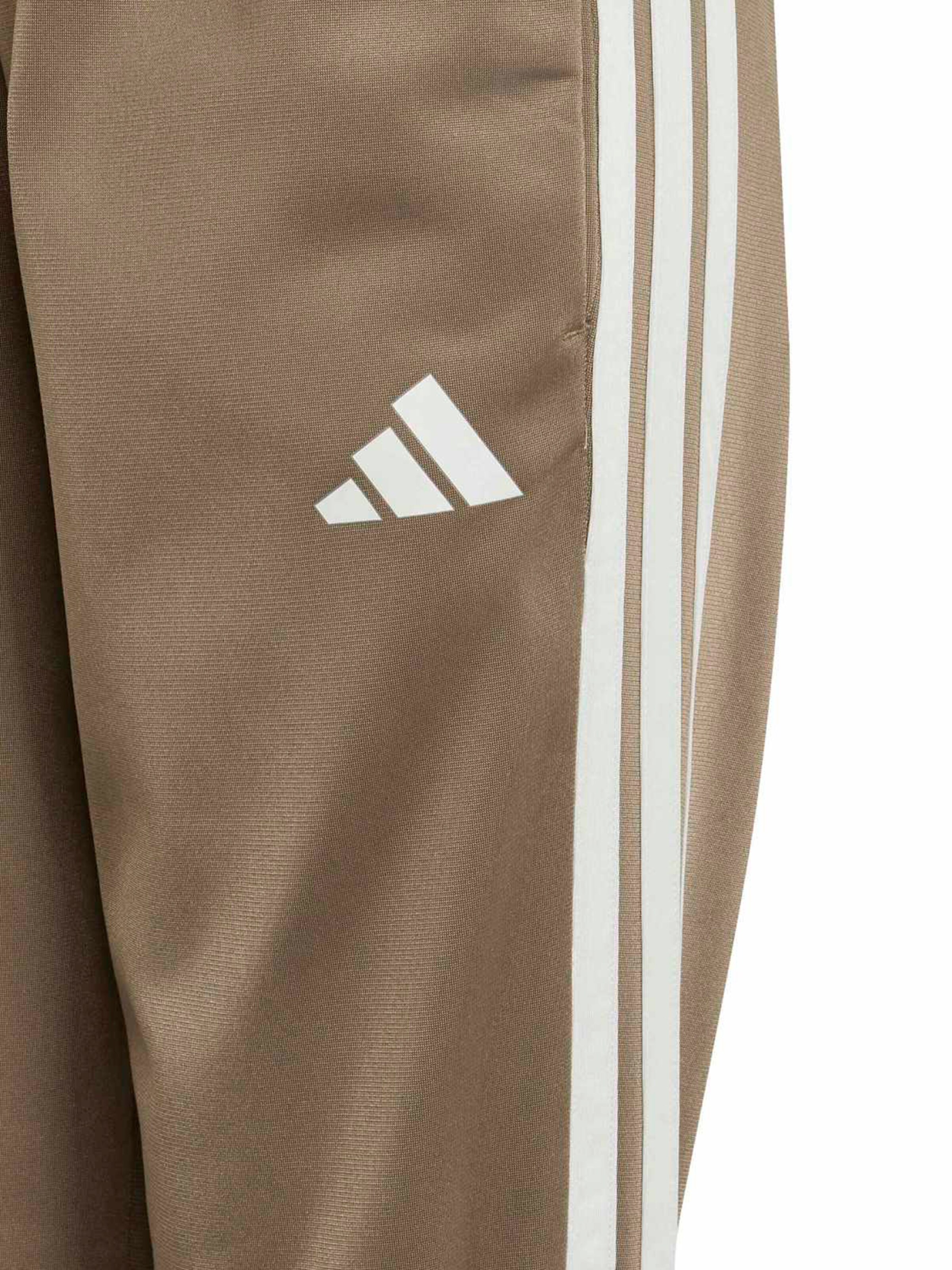 Survêtement 'Seasonal Essentials Tiberio' ADIDAS SPORTSWEAR en vert