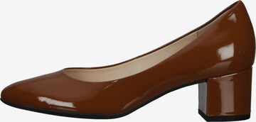 Högl Pumps in Brown