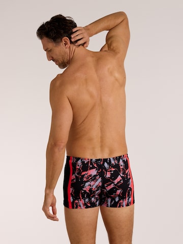 wavebreaker Swim Trunks in Black