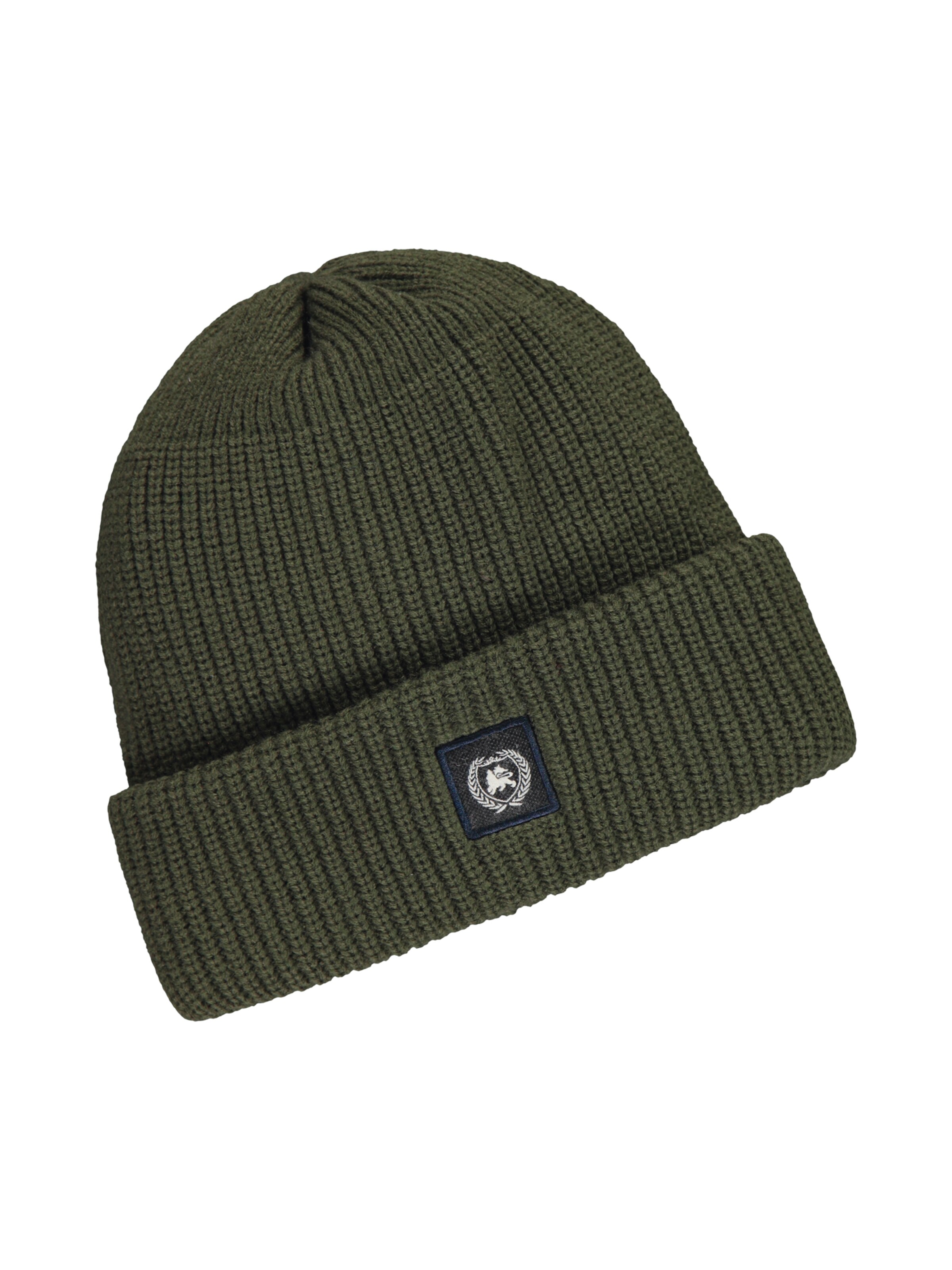 LERROS Beanie in Green