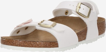 BIRKENSTOCK Sandal 'Rio' i vit: framsida