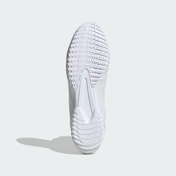 ADIDAS PERFORMANCE Sportschuh 'Speedex 23' in Weiß
