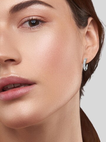 Maxte Earrings in Silver: front