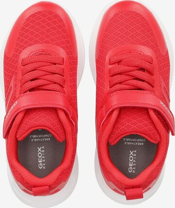 Baskets GEOX en rouge