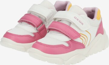 Baskets GEOX en rose