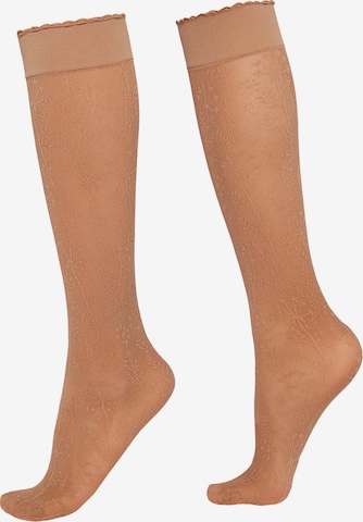 CALZEDONIA Socken in Beige: predná strana