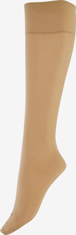 Nur Die Socks in Brown: front