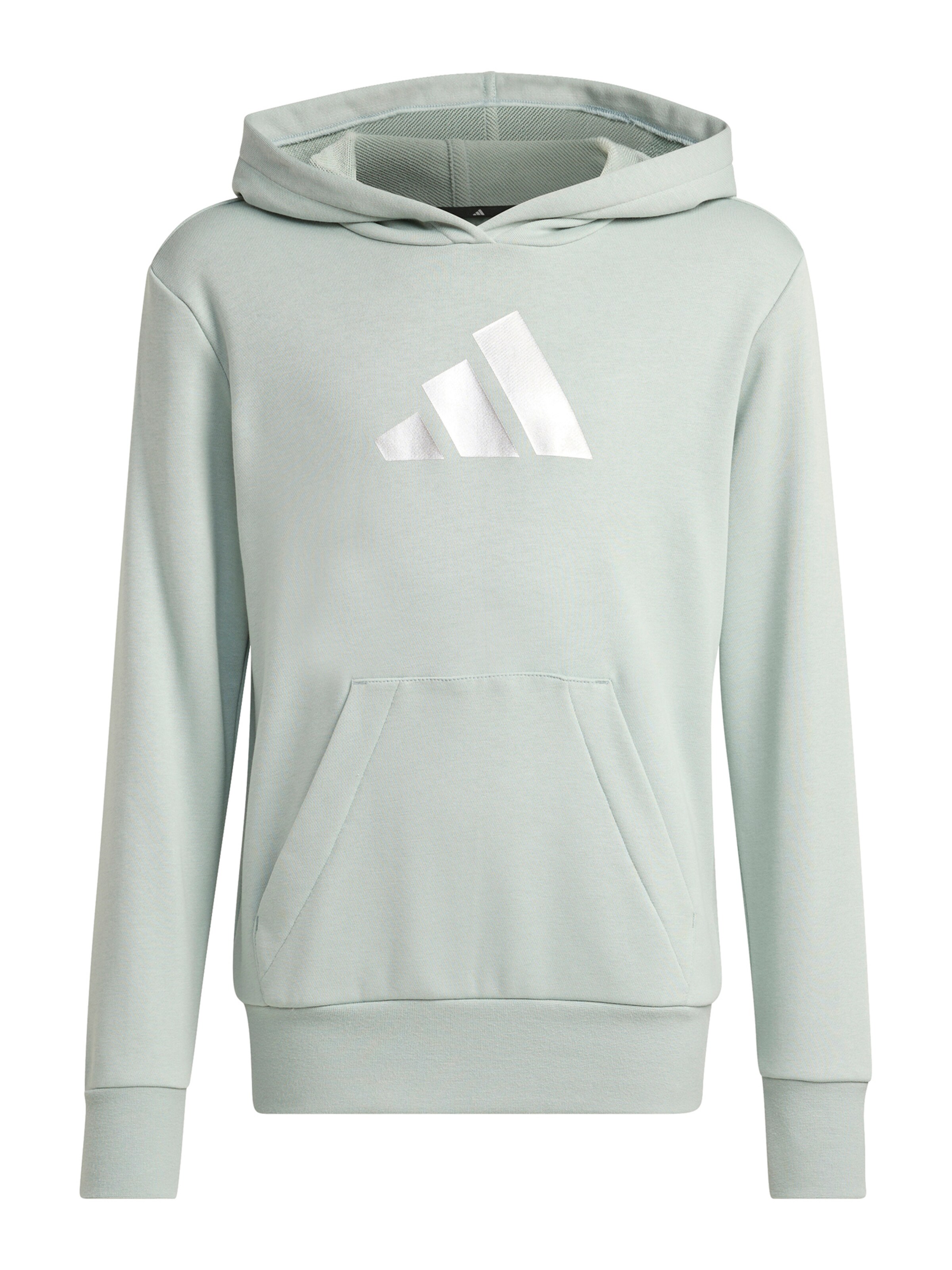 ADIDAS SPORTSWEAR Спортивный свитшот в Зеленый: спереди