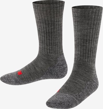 FALKE Socken 'Active Warm' in Grau: Vorderseite